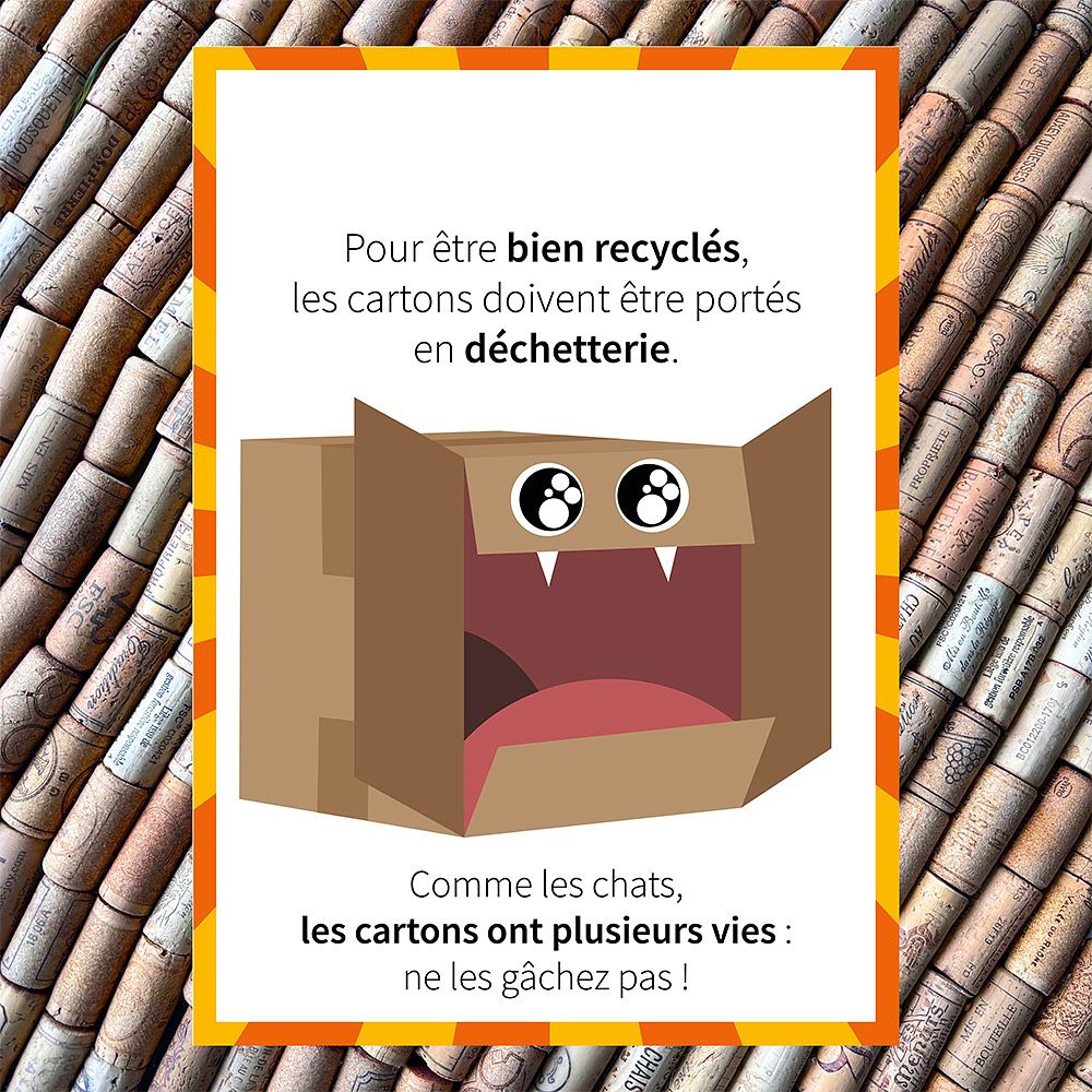 Affiche de sensibilisation au tri des cartons