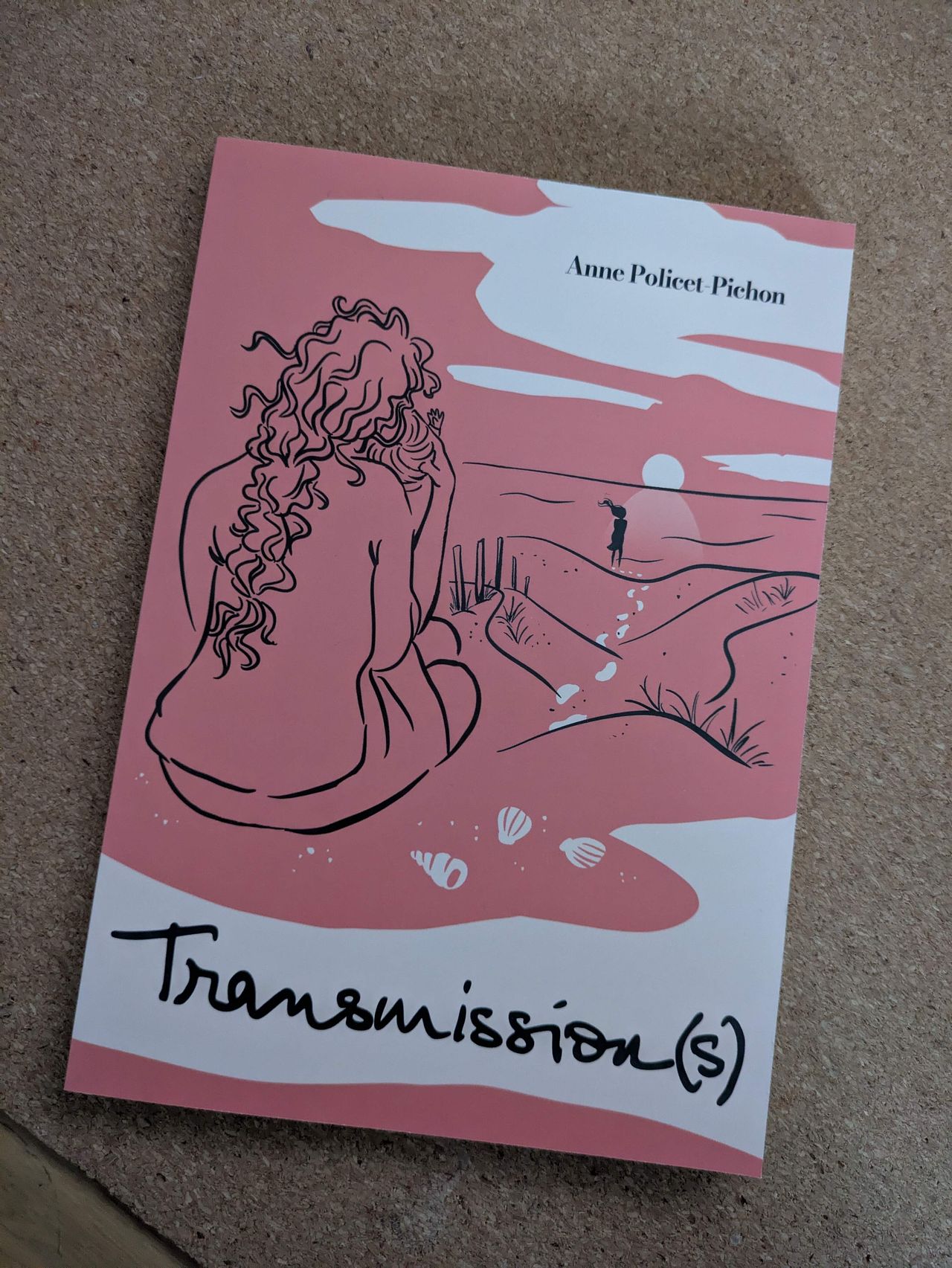 Couverture du livre Transmission(s)