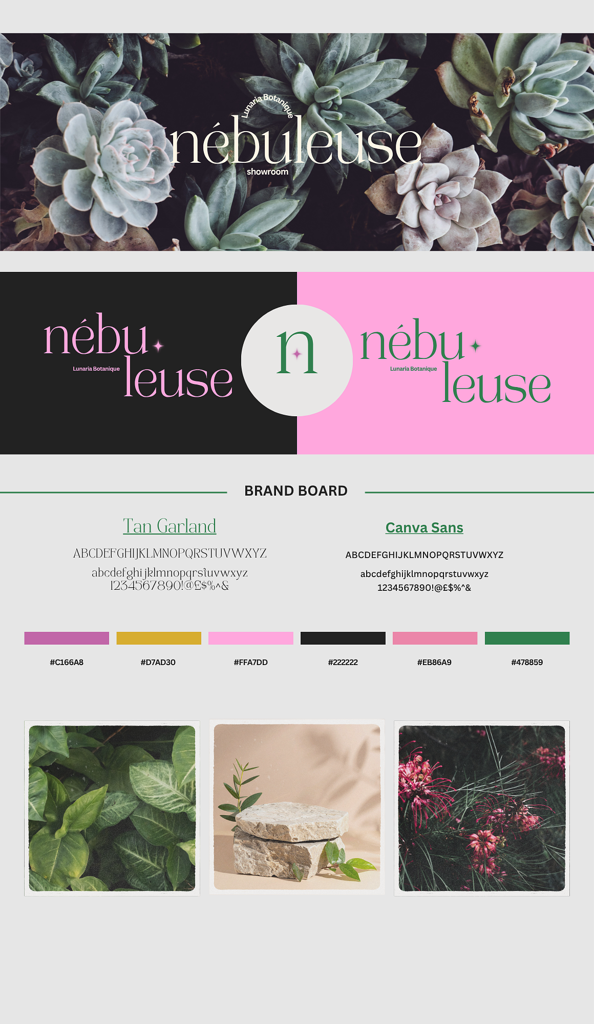 Nébuleuse