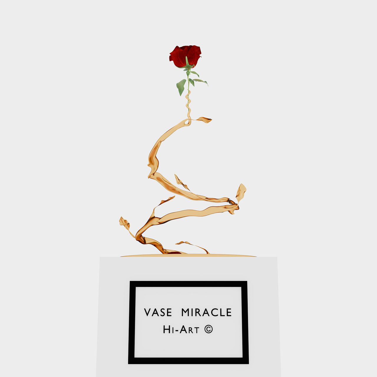 Vase miracle or