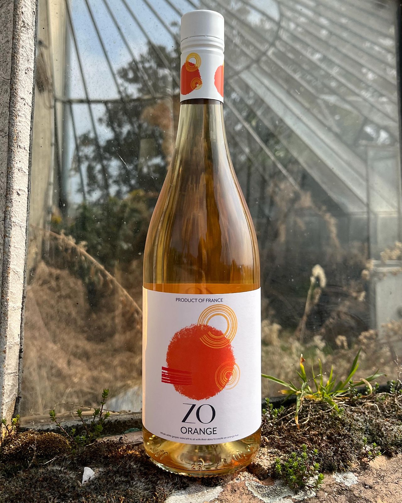 ZO Vin Orange