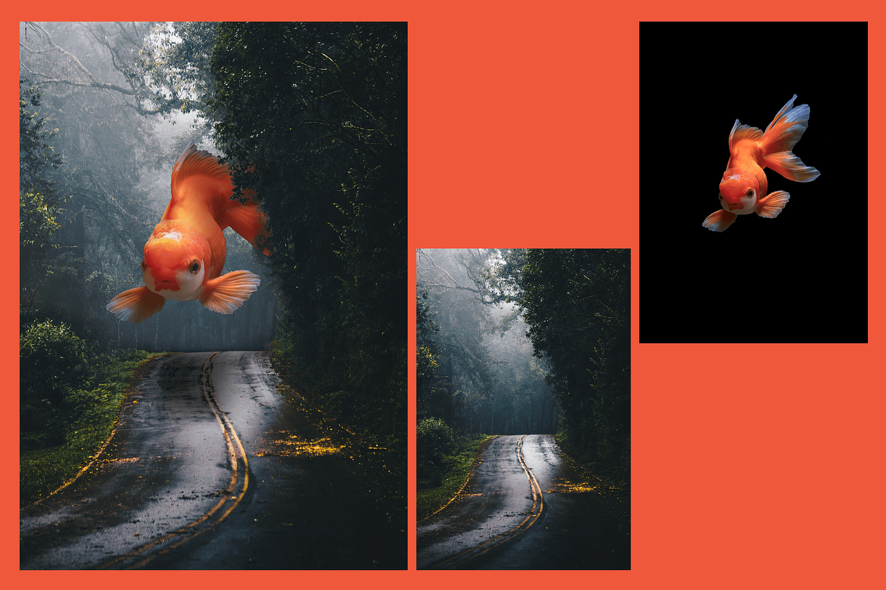 Montage photo