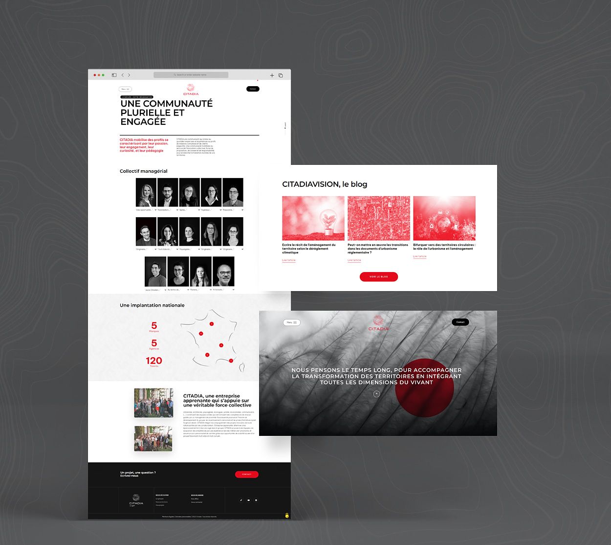Refonte site internet CITADIA