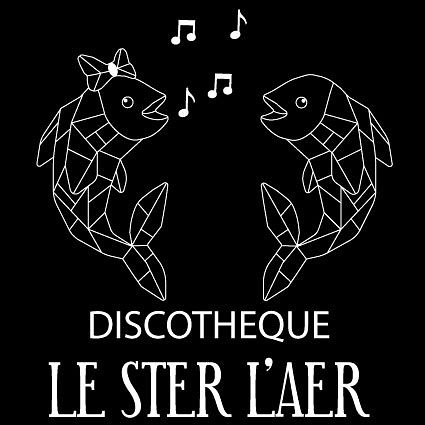 Logo le Ster l'Aer