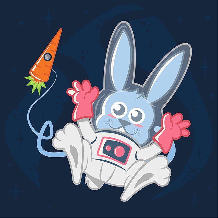 Space Rabbit