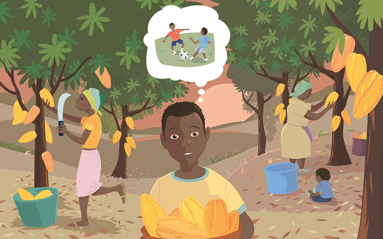 Création d'illustrations
