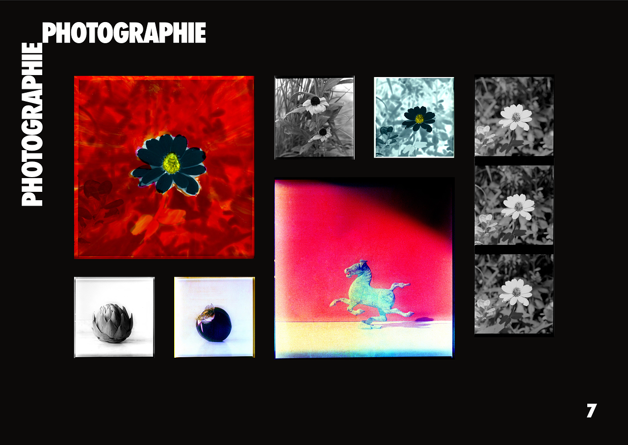 Photographie