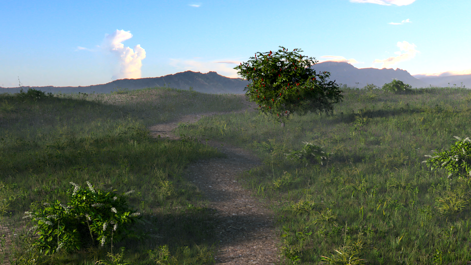 Landscape / Paysage