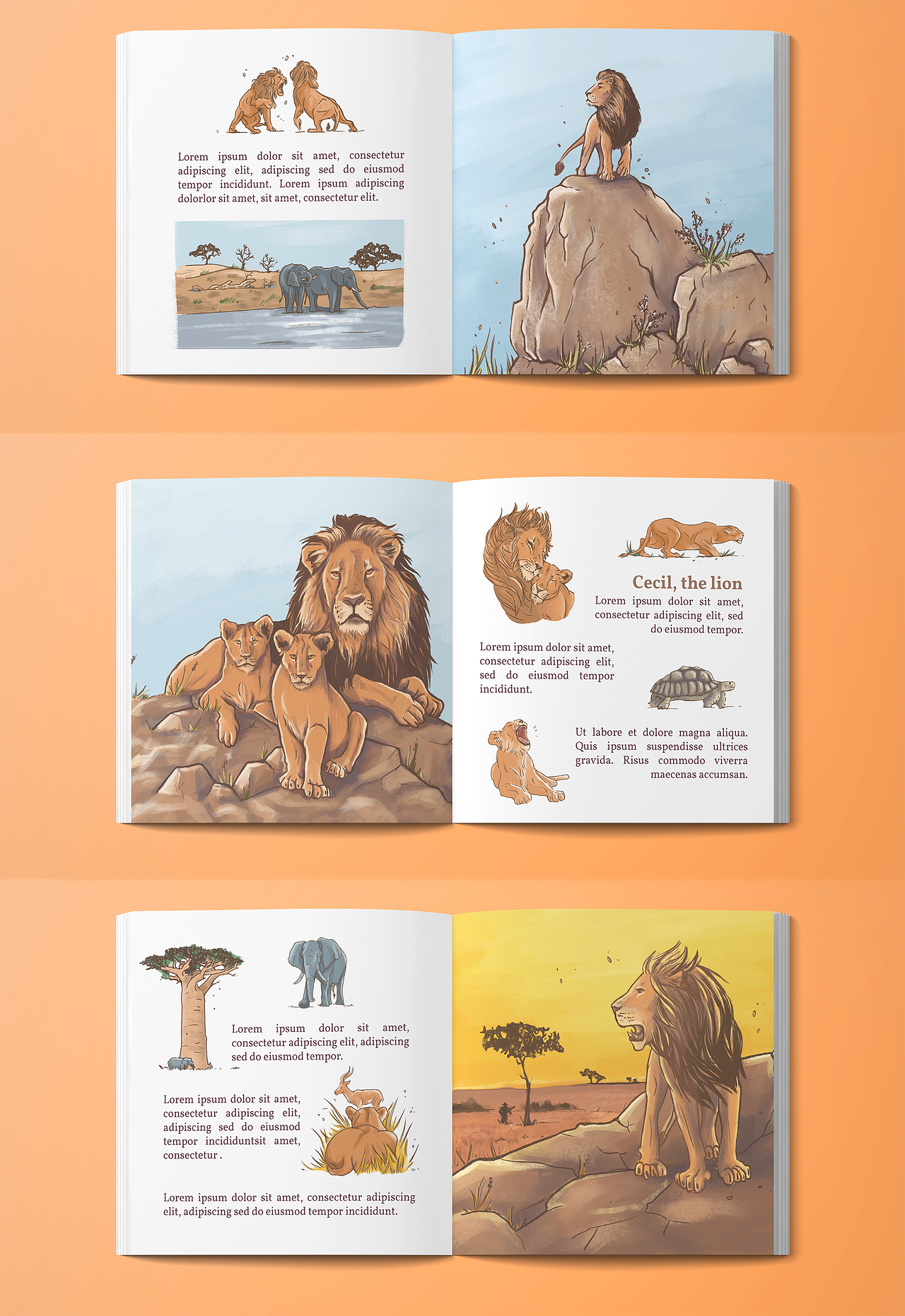 Cecil the lion - Histoire pour les enfants