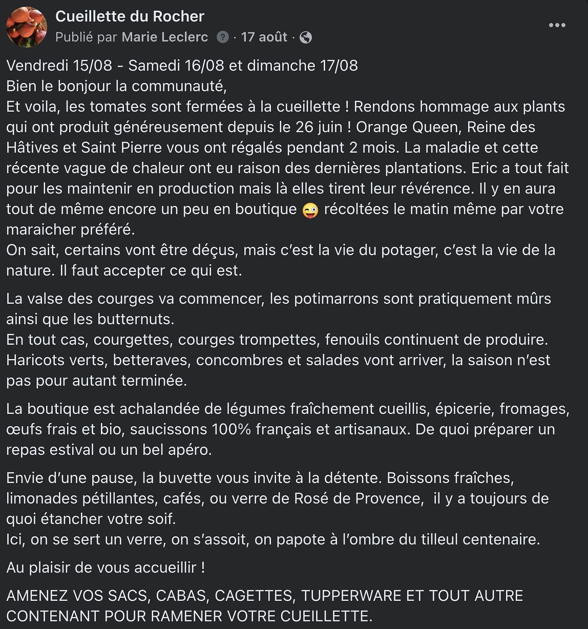 Rédactionnel pour les réseaux sociaux