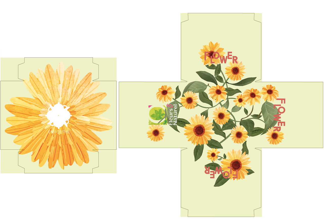 Design box thé pour Fleur O'Naturel