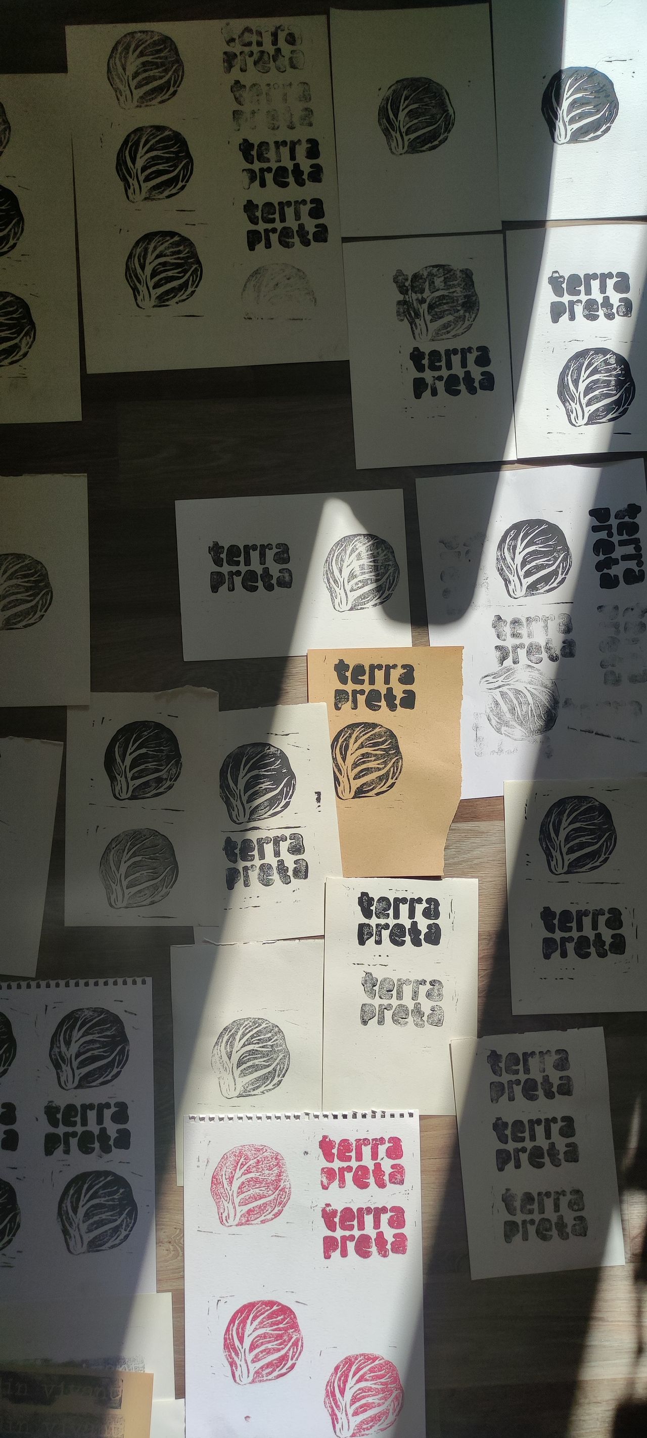 Identité visuelle / Terra Preta