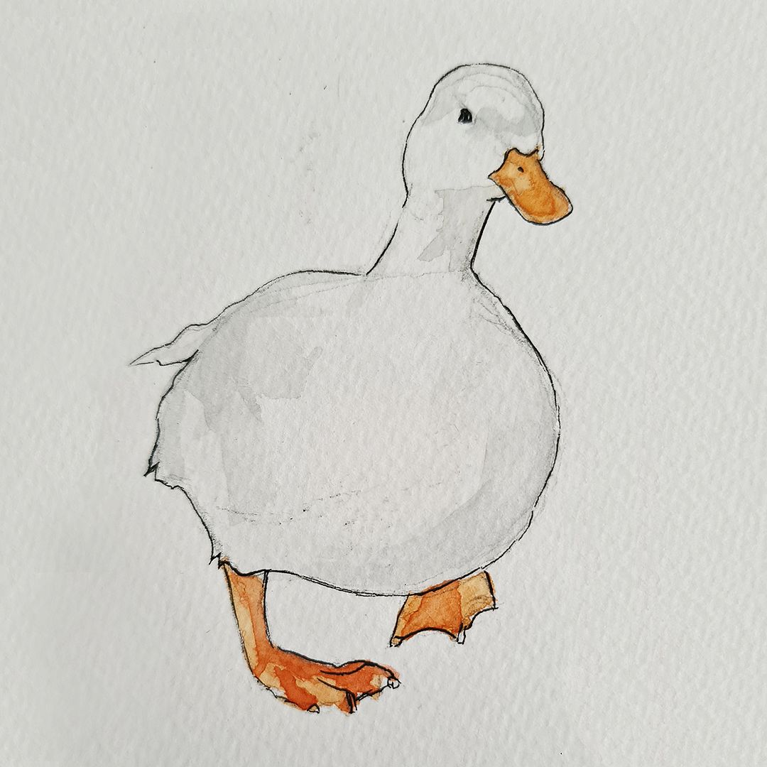 Oie à l'aquarelle