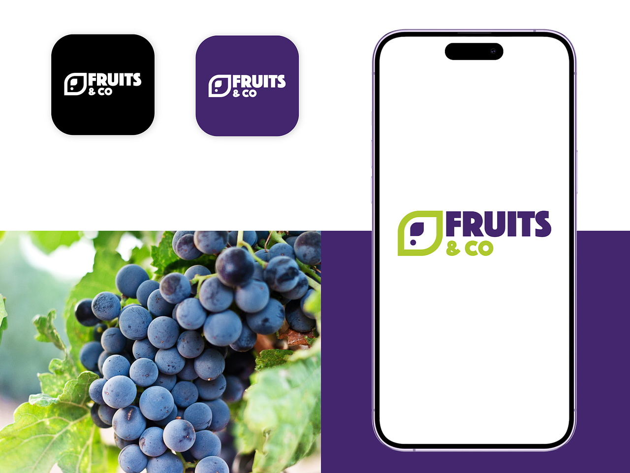 Fruits & Co