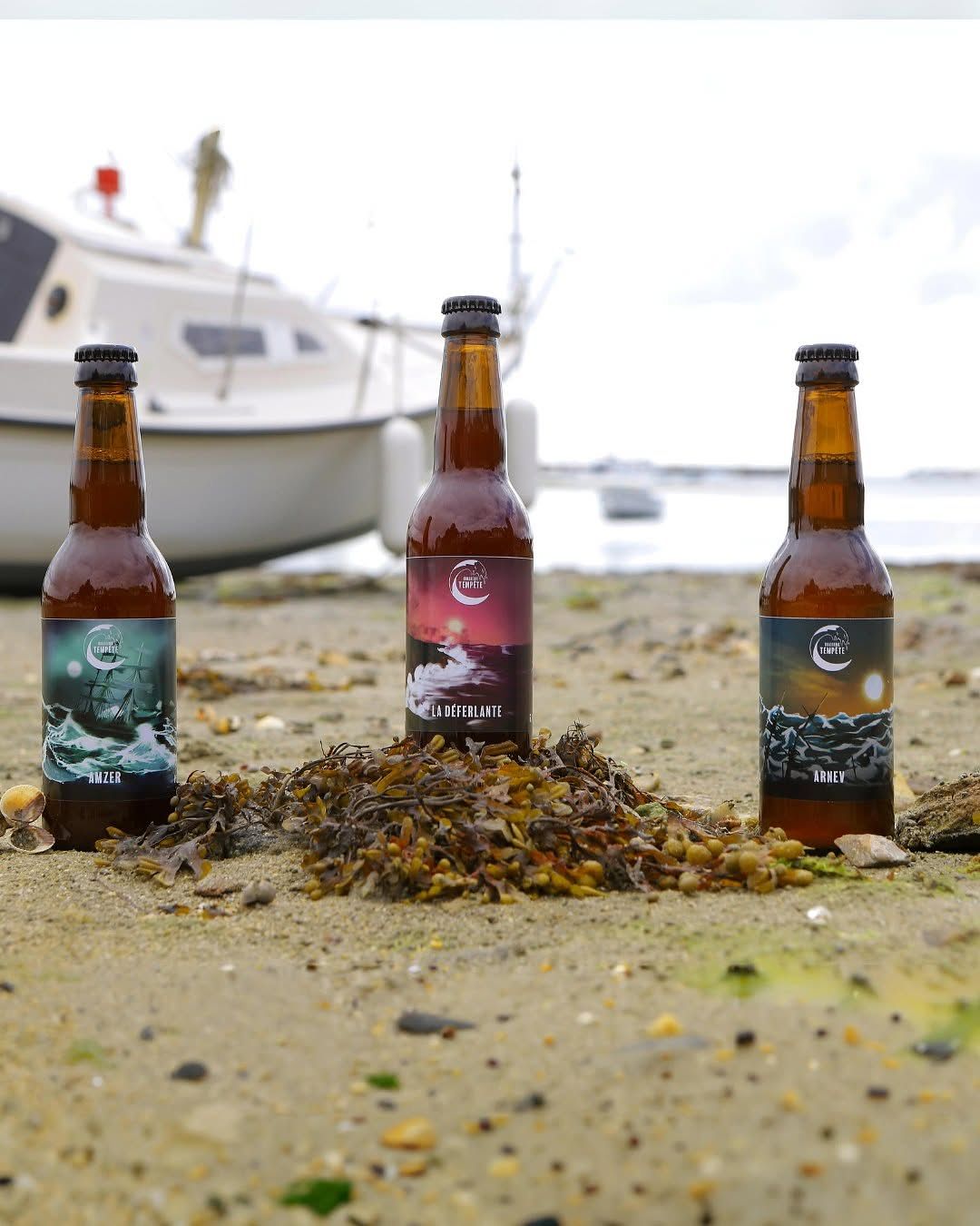 Illustration packaging - Brasserie Tempête
