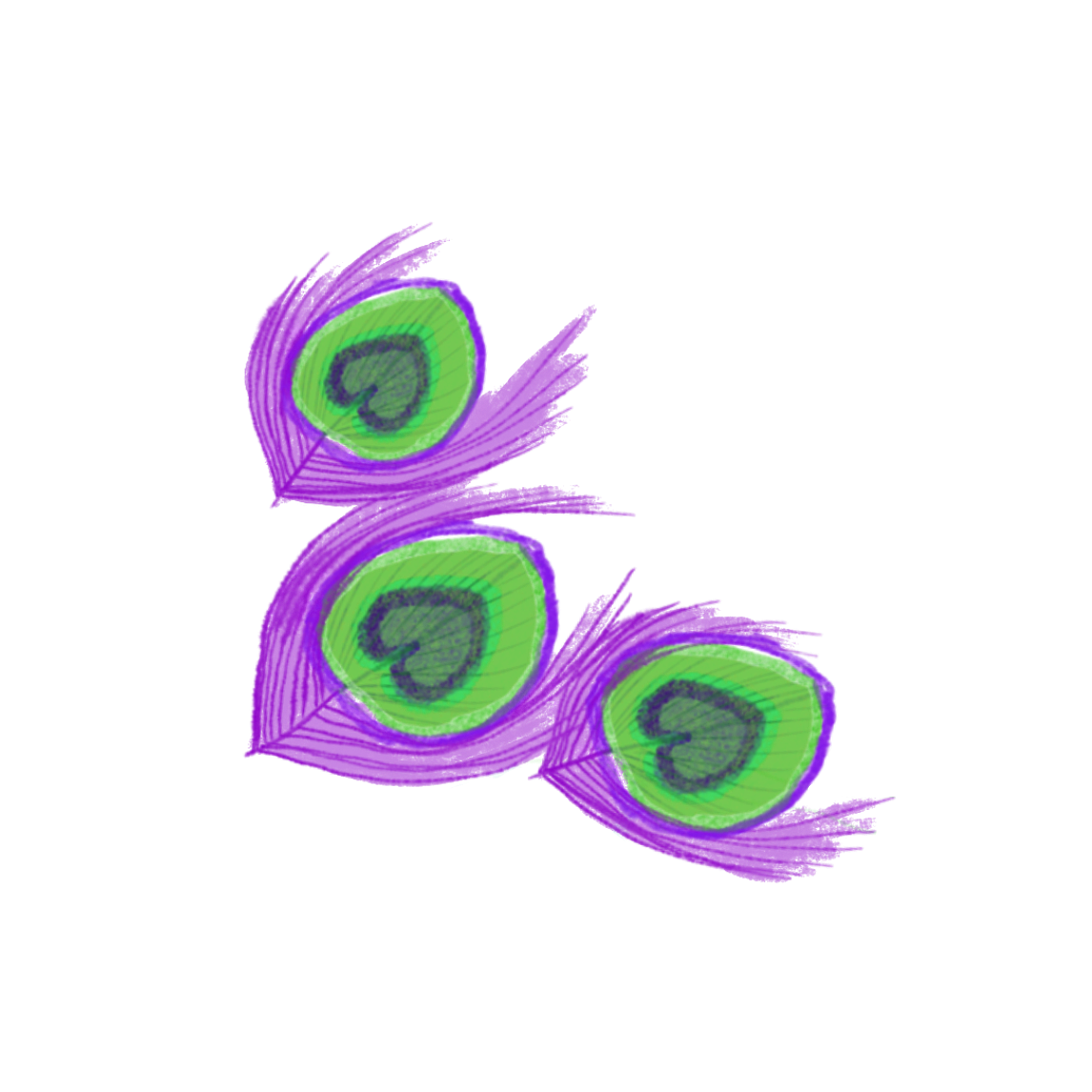 Plumes de paon