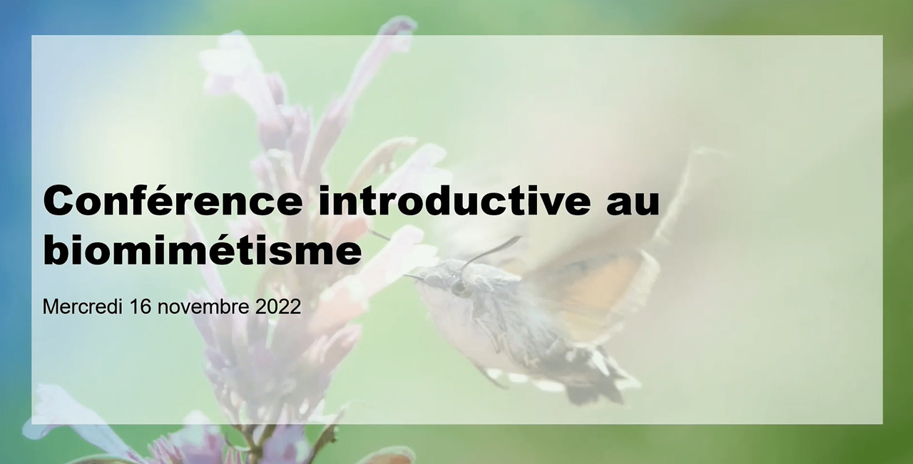 Conférence biomimétisme