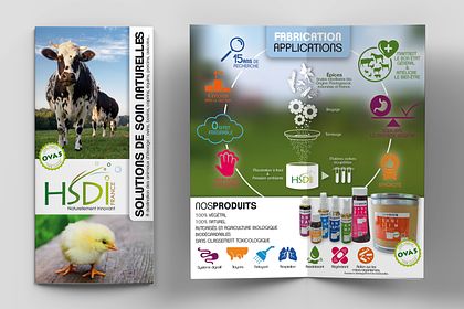 Brochure 2 volets