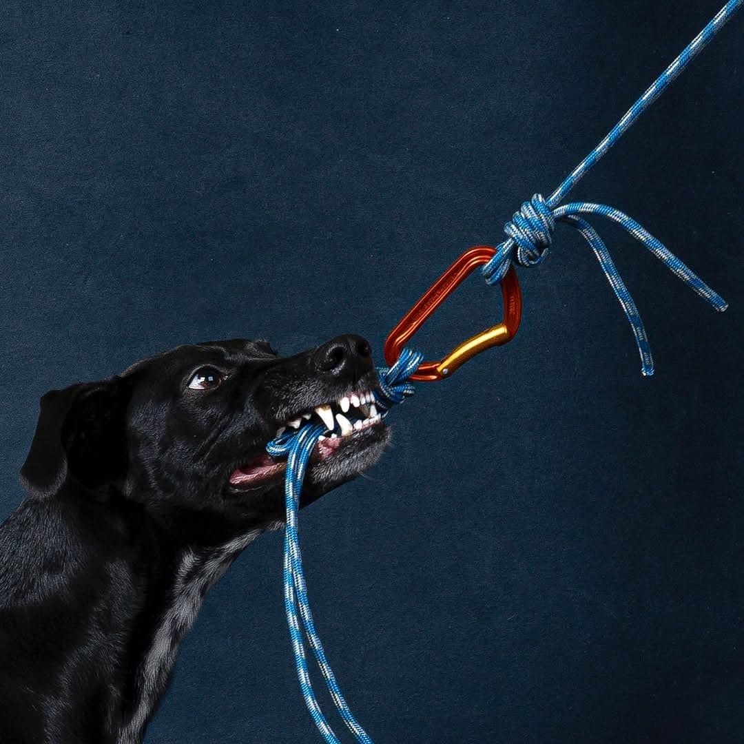 Petzl