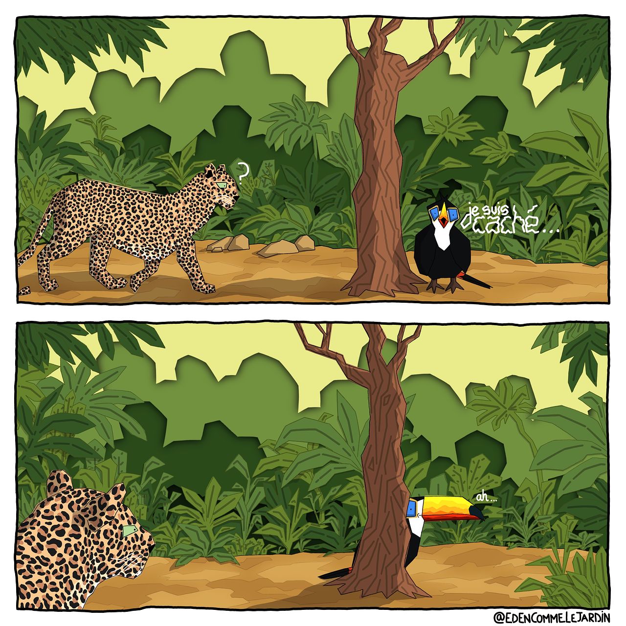 Le toucan caché