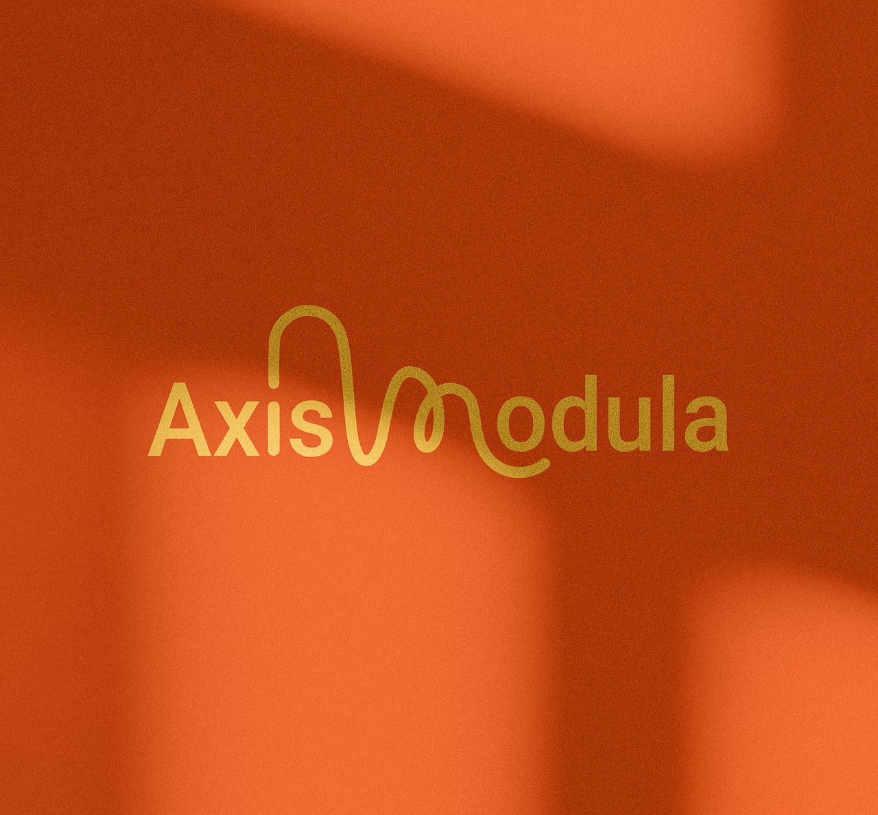 Logotype Axismodula