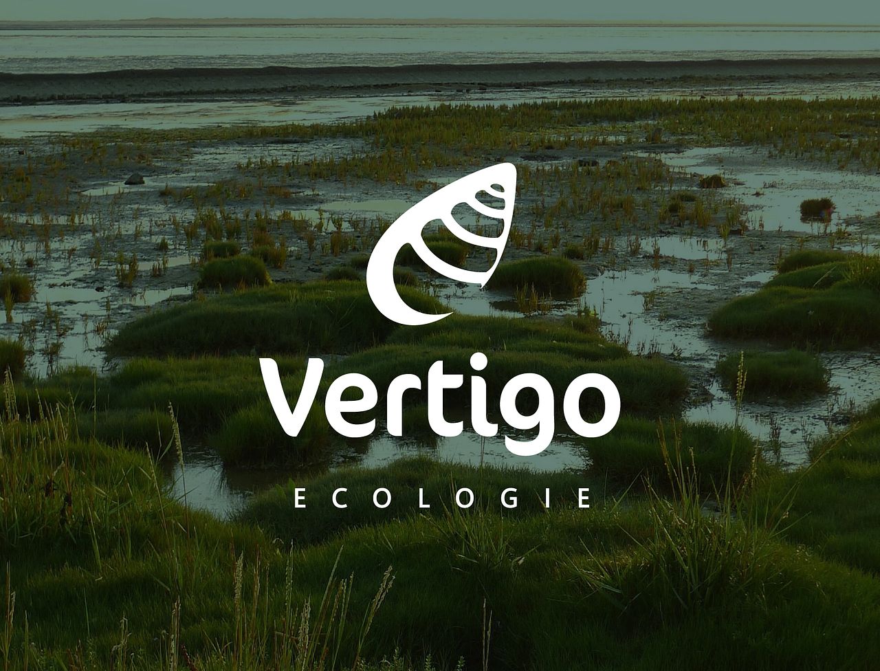 Logo Vertigo