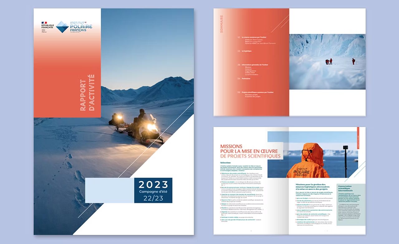 Rapport d'activité