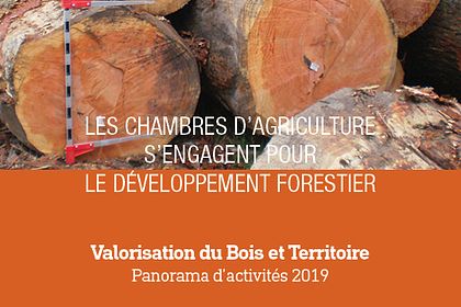 Réalisation #413042