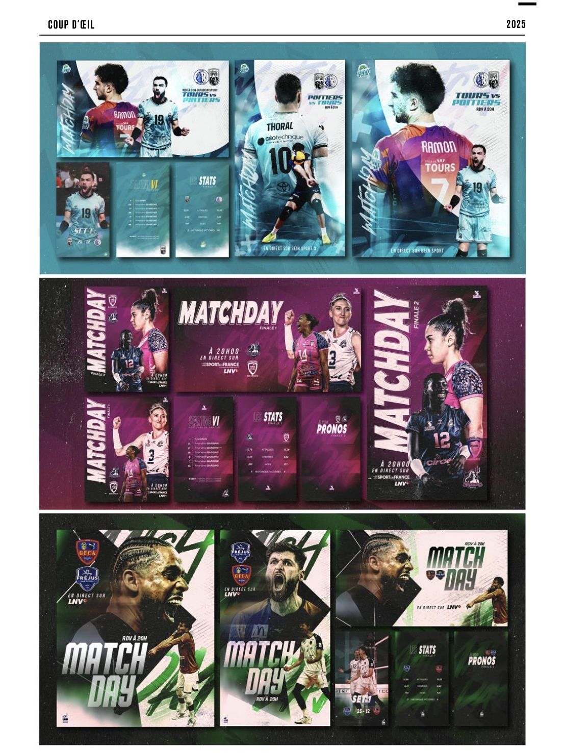 Ligue Nationale de Volley