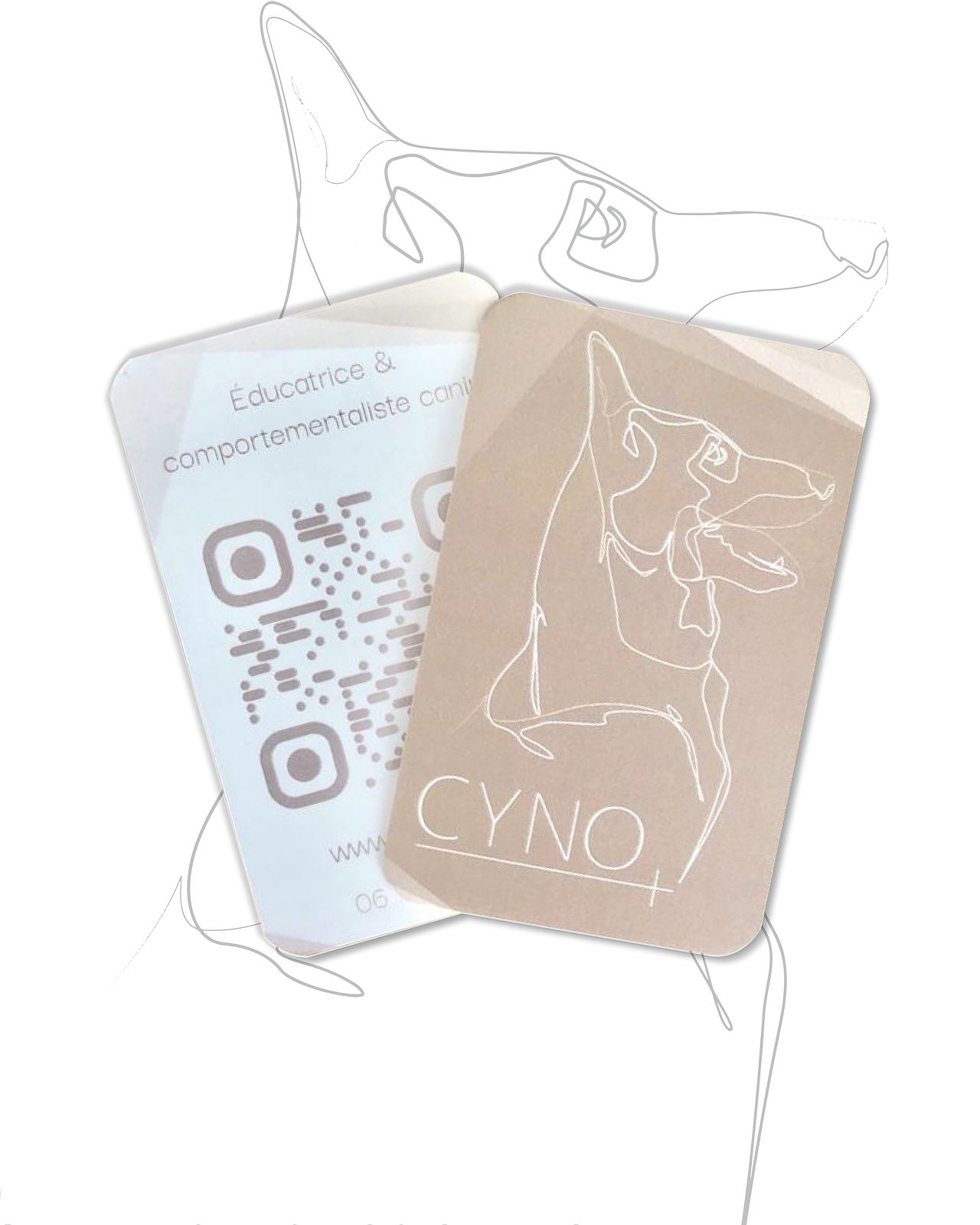 Cartes de visite Cyno+