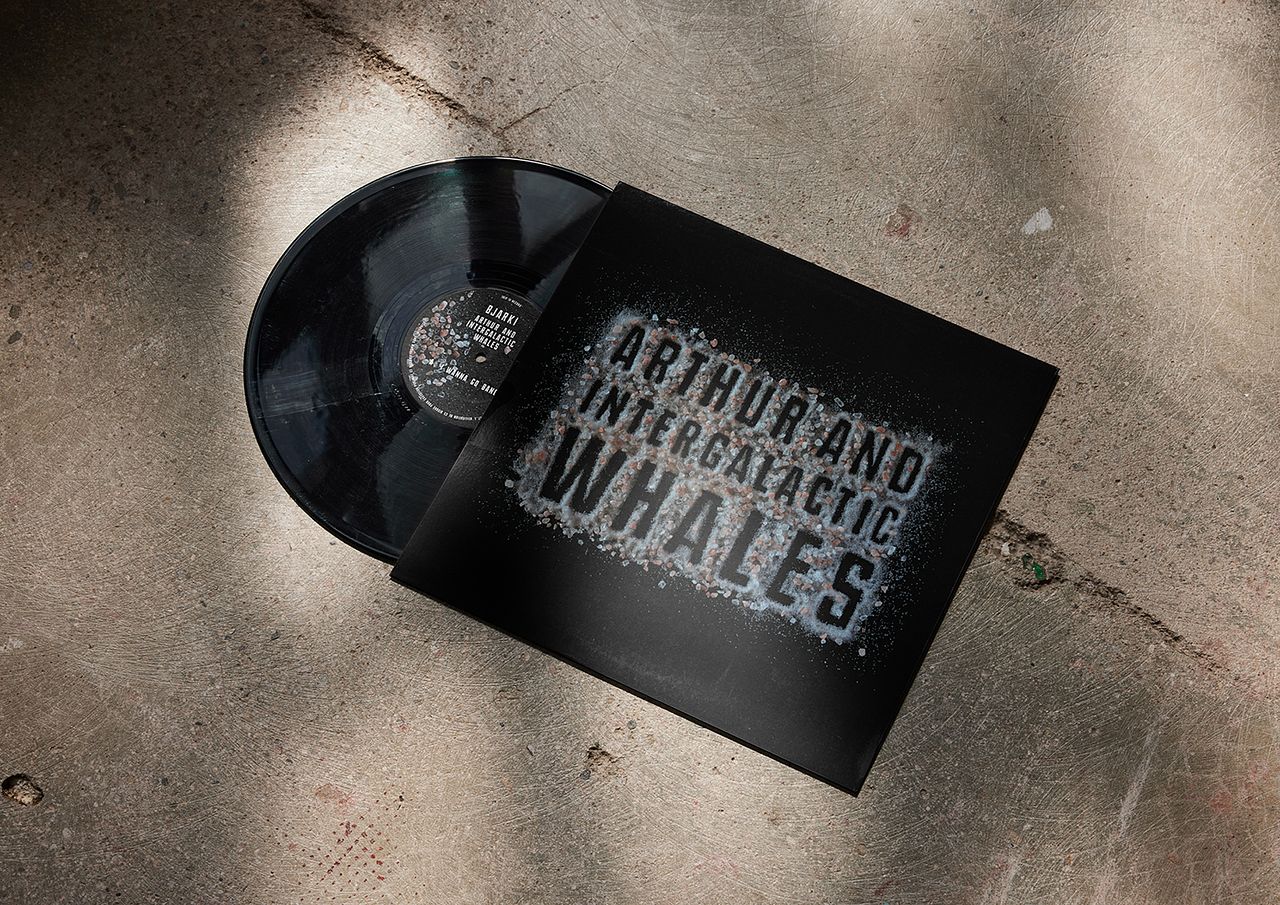 Pochette de Vinyle