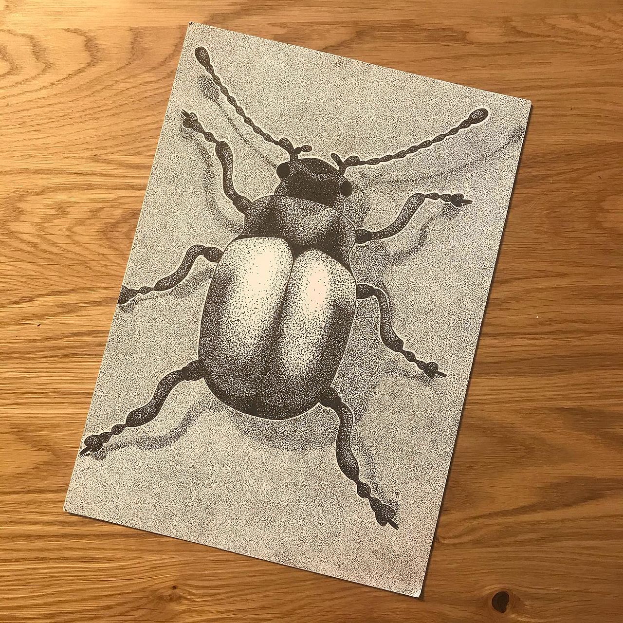 Illustration de coléoptère réalisé à la pointe fin