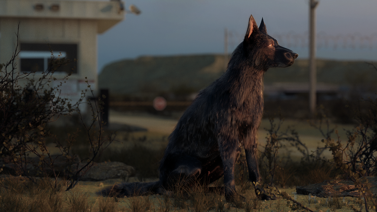 TRACK - DOG