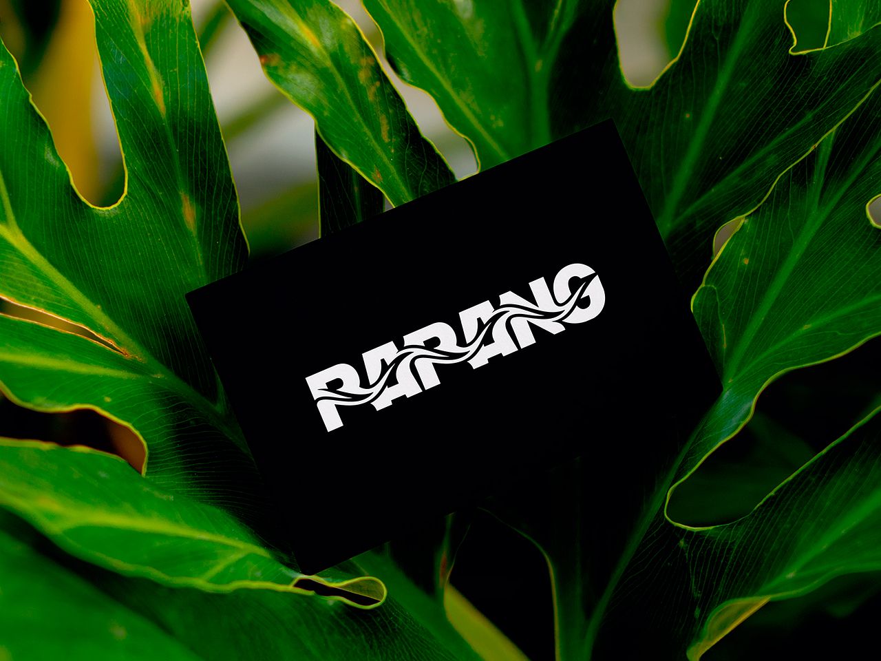 Logo Streetwear