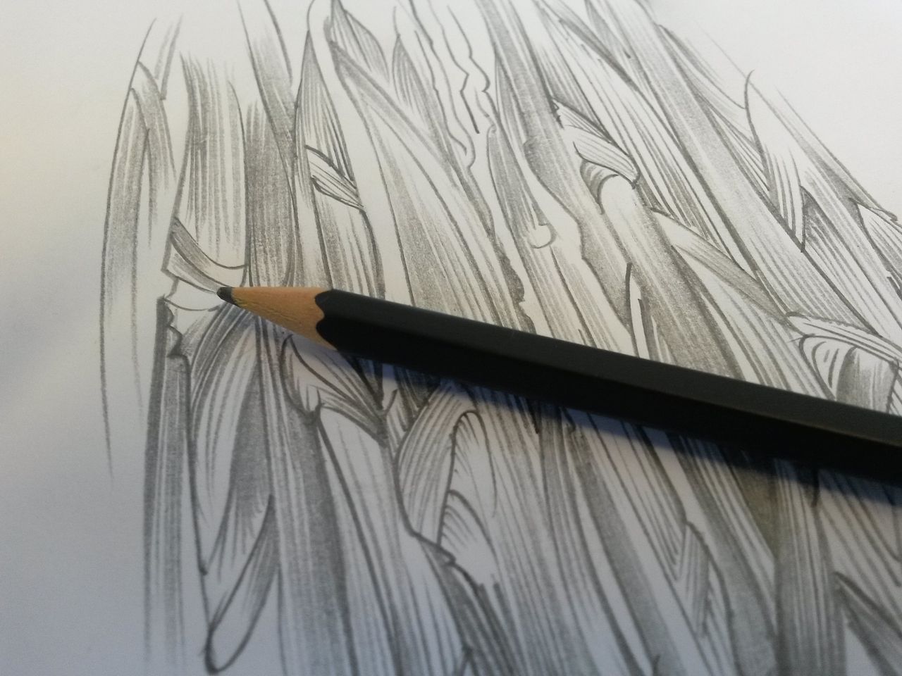 Projet