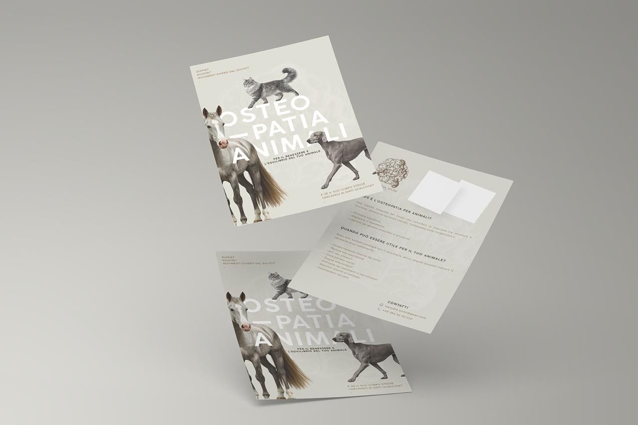 Flyer — Ostéopathie animale