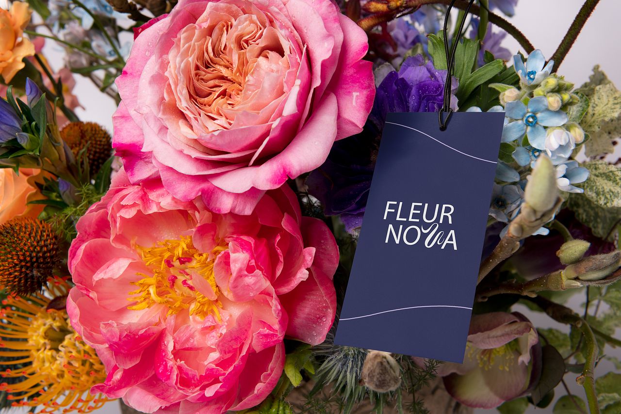 Projet Fleur Nova