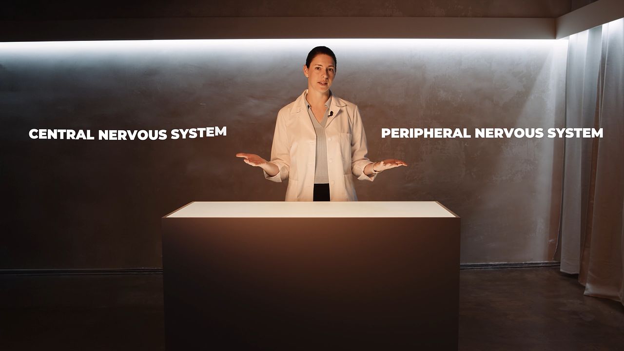 Dancemasterclass Extrait