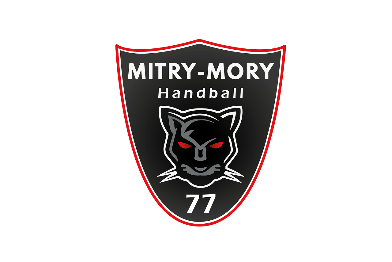 Création logo club de handball