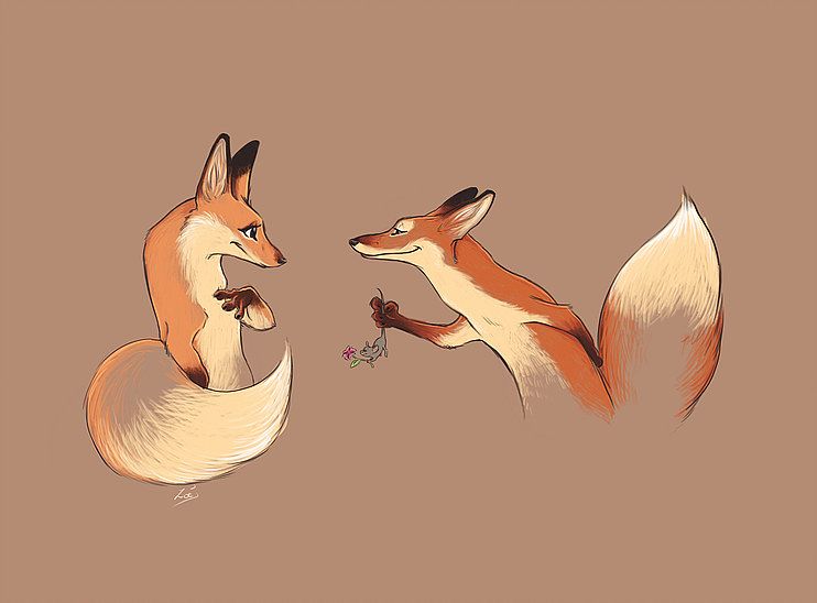 Lovely fox