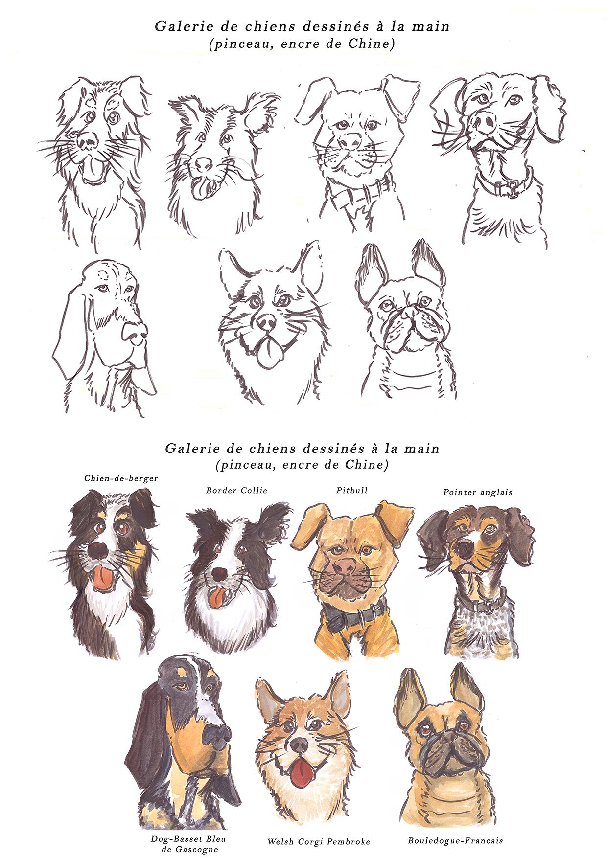 Galerie de chiens dessiner à la main