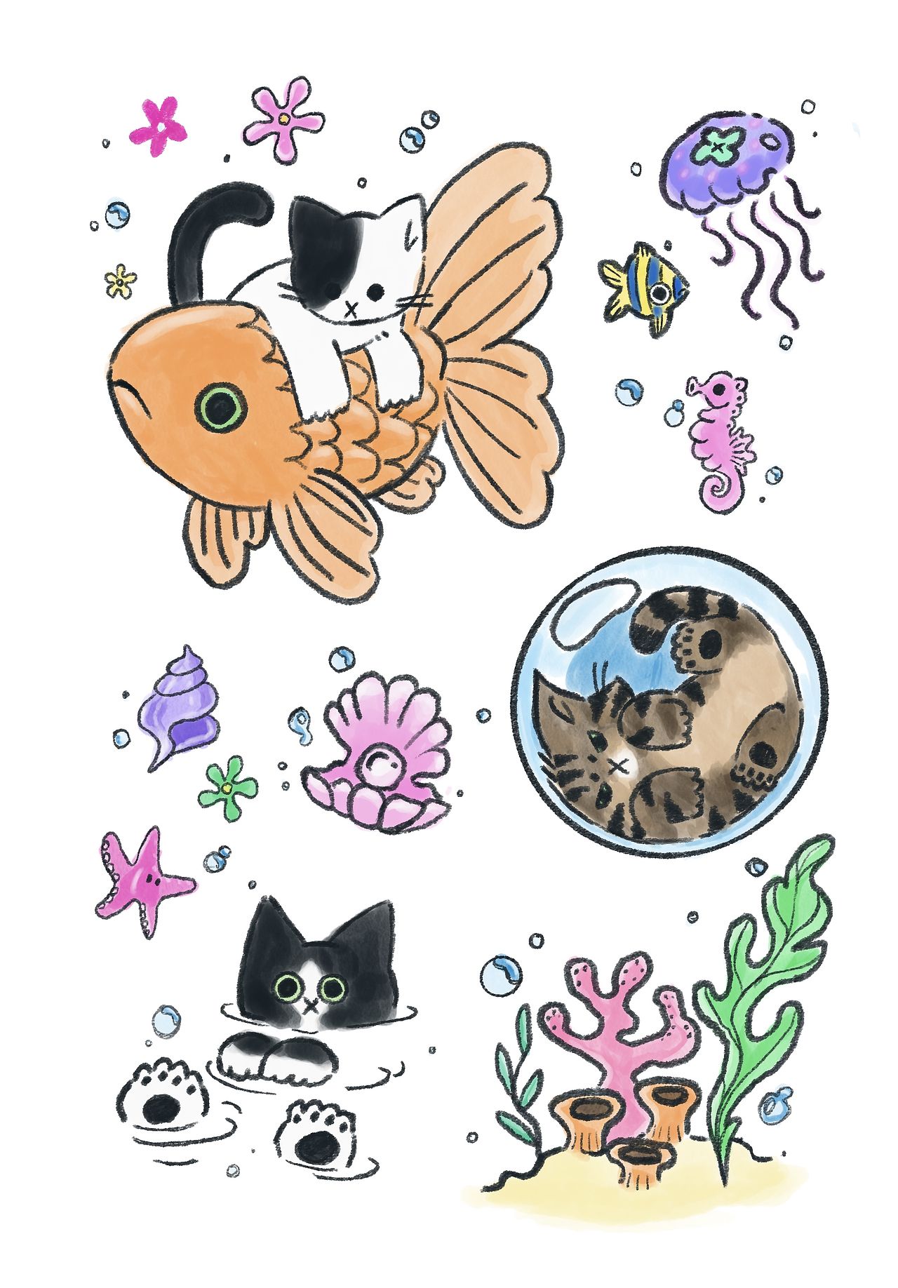 Illustration booriry
