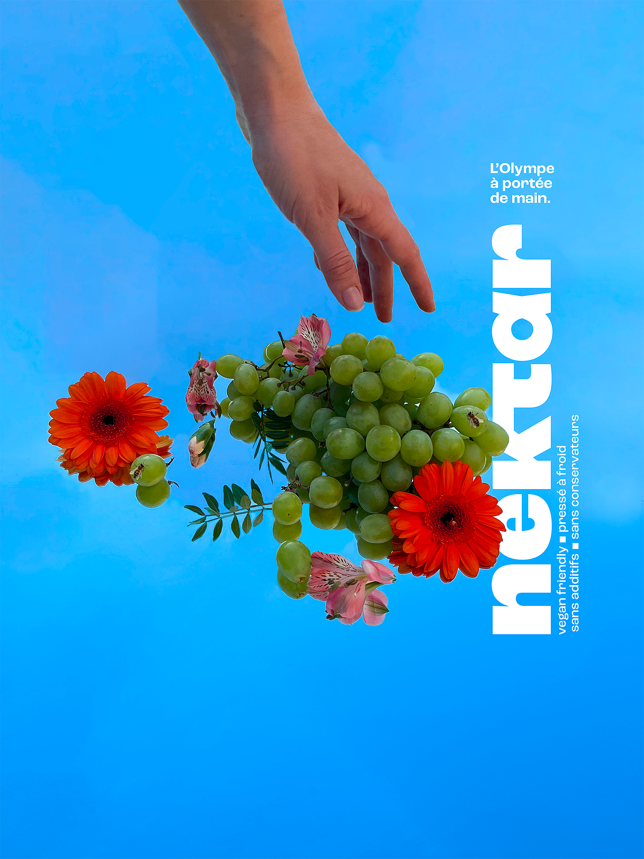 NEKTAR - Campagne print