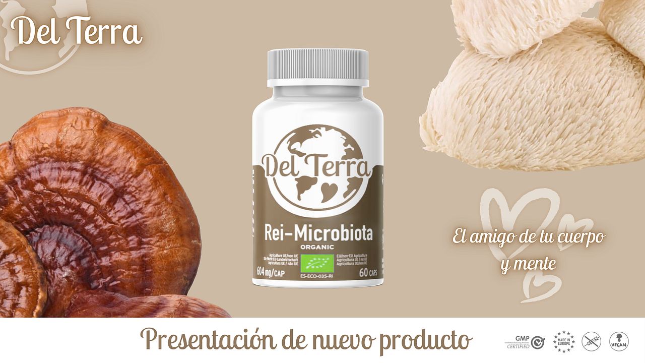 Powerpoint, mise en page et réalisation de visuels