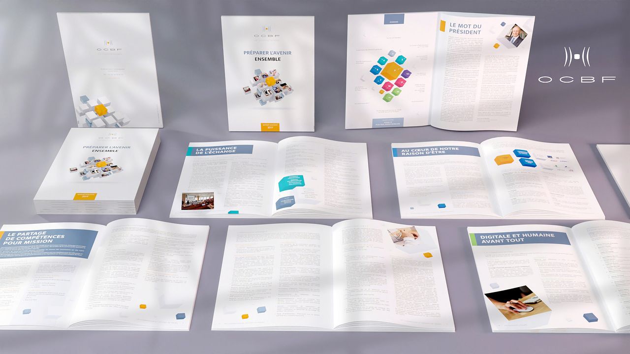 Rapport annuel OCBF