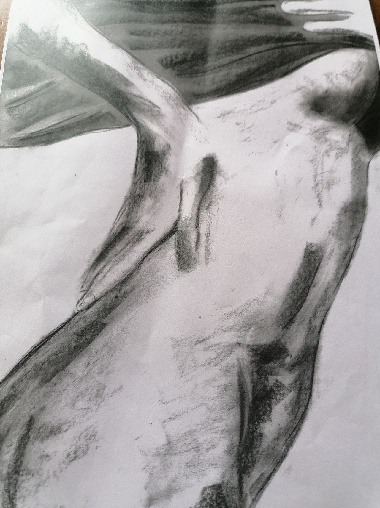 Envol