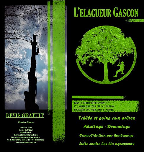 Visuel pour flyer