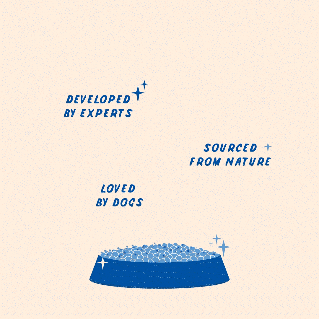 Native Pet chez Target