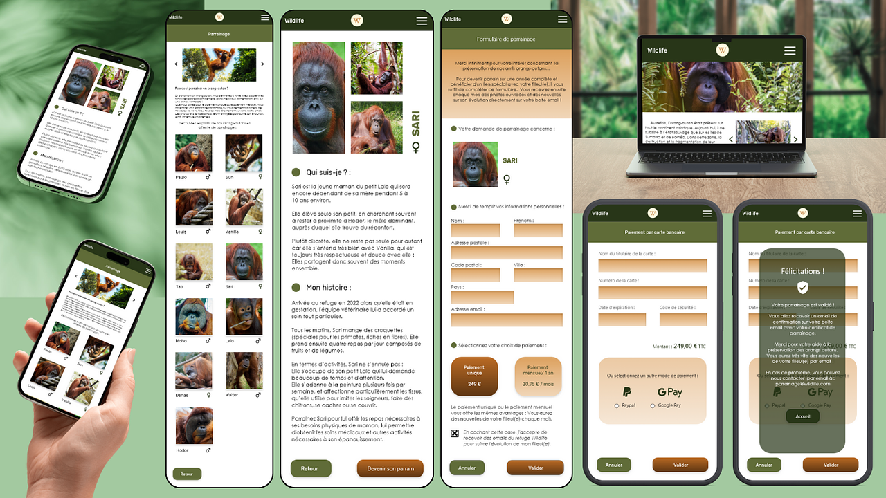Design UX-UI site web