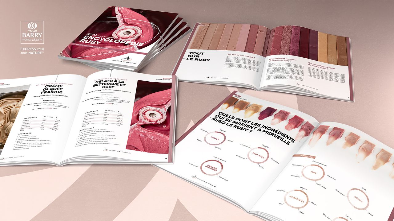Recettes Cacao Barry